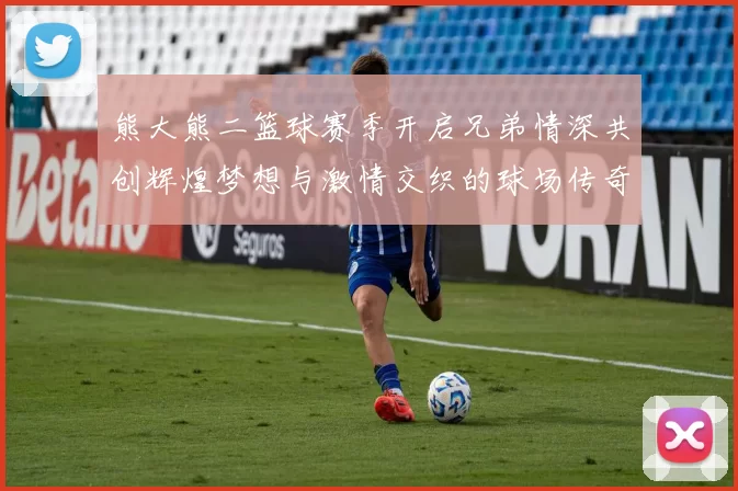 熊大熊二篮球赛季开启兄弟情深共创辉煌梦想与激情交织的球场传奇