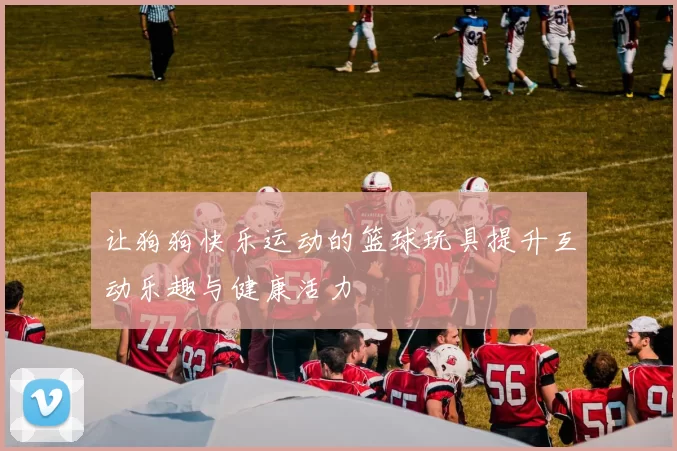 让狗狗快乐运动的篮球玩具提升互动乐趣与健康活力