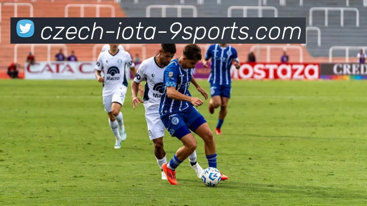 九游体育平台生态图